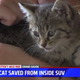 Screencap via Fox 17